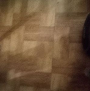 Meet your Posher, Susan